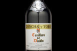Concha y Toro Winery