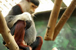 Philadelphia Zoo