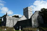 Muckross Abbey