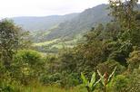 Mindo Cloud Forest