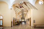 Leonardo3 Museum