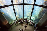 Monterey Bay Aquarium