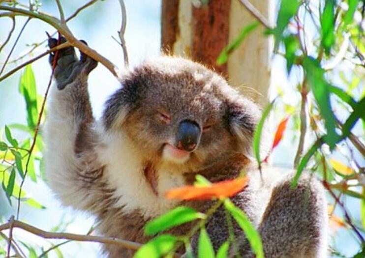 Melbourne Zoo