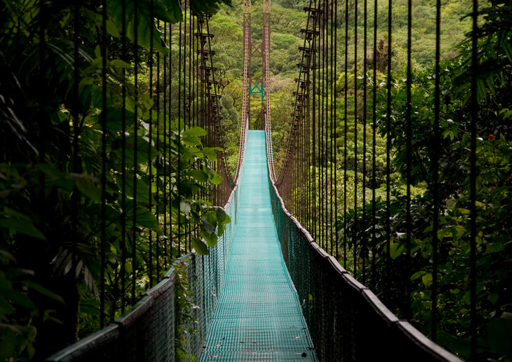 Mistico Arenal Hanging Bridges Park La Fortuna Book Tickets Tours Today