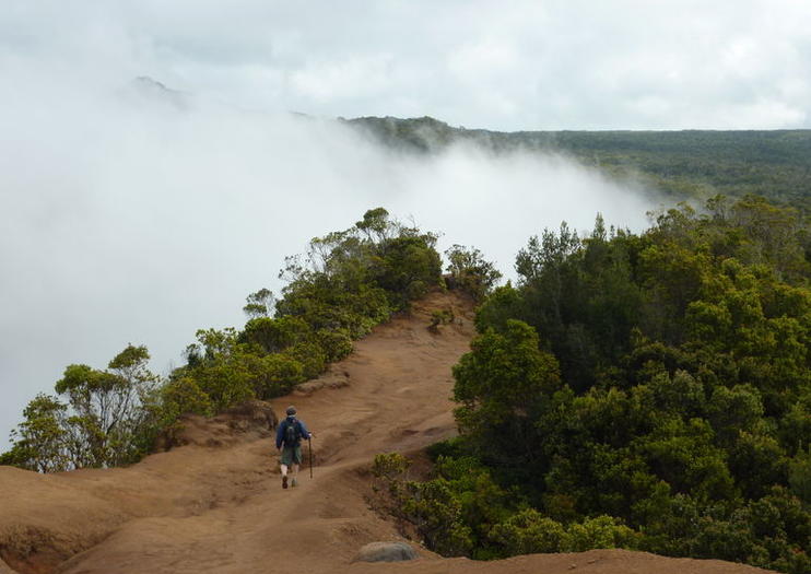 tours of waimea canyon on kauai