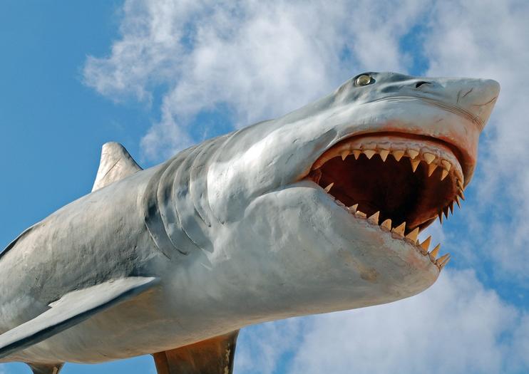 Punta del Este Museum of the Sea (Museo del Mar)