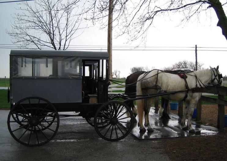 El país de los Amish desde la ciudad de Nueva York
