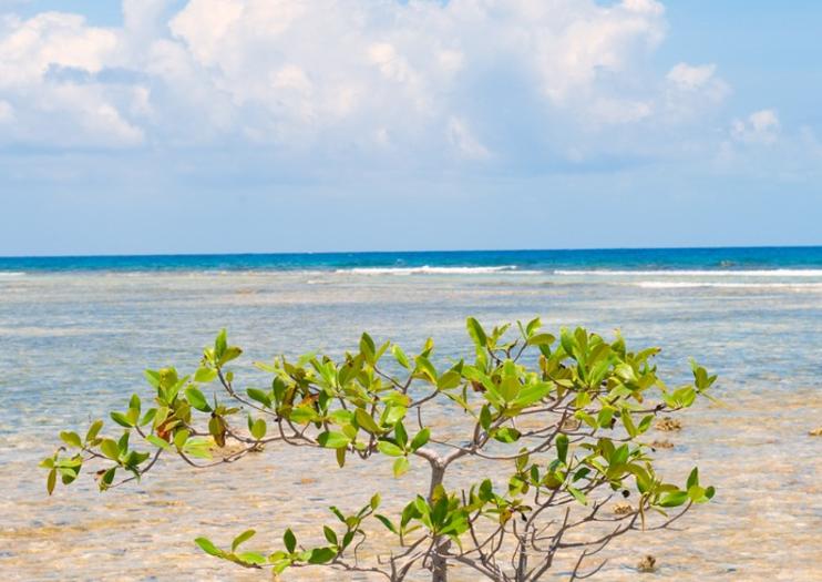 turneffe atoll turneffe atoll