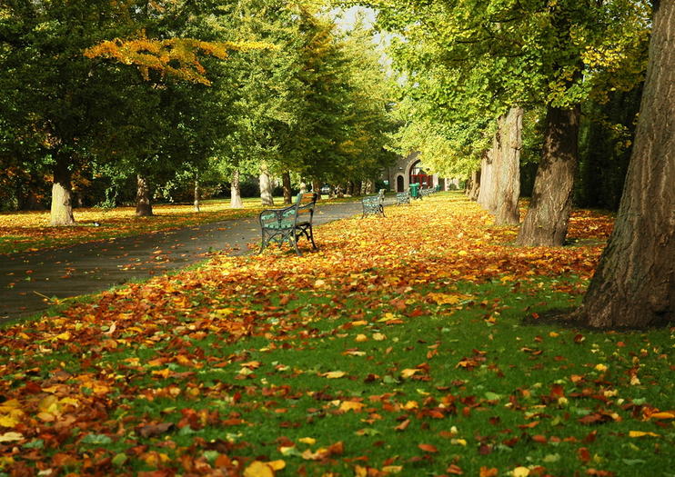 Bute Park and Arboretum