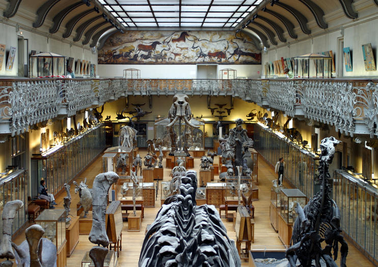 musée de histoire naturelle