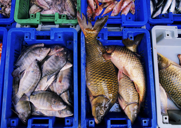 Mercado de Pescado Noryangjin