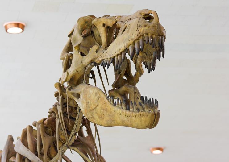 Southwest Florida Museum of History