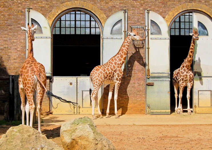 london zoo tours