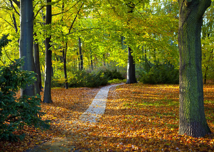 Tiergarten Park