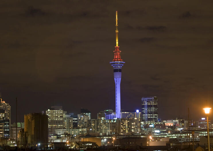 viator tours in auckland