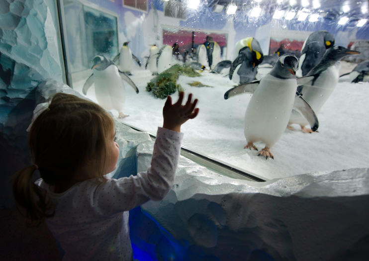 Kelly Tarlton's SEA LIFE® Aquarium