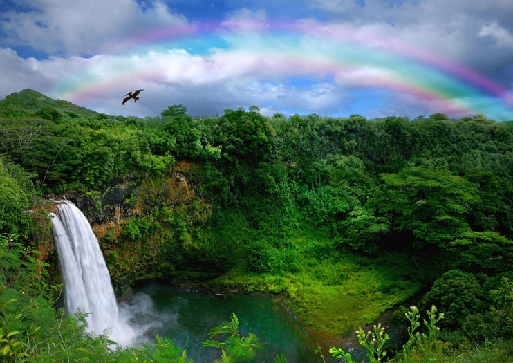 Top Waterfalls In Kauai Recommendations For Tours Trips Tickets Each Of The Hawaiian Islands Has Its Own Distinct Landscape And Feel Kauai S Lush Greenery Waterfalls Have Earned It Nickname Garden
