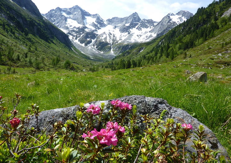 Sound of Music Tours From Salzburg