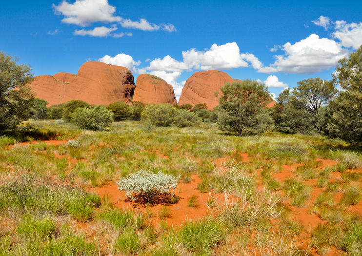 alice springs desert park tour