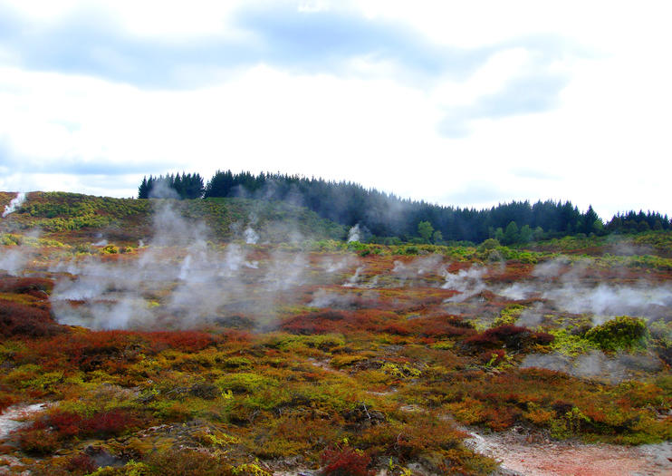 Wairakei Natural Thermal Valley