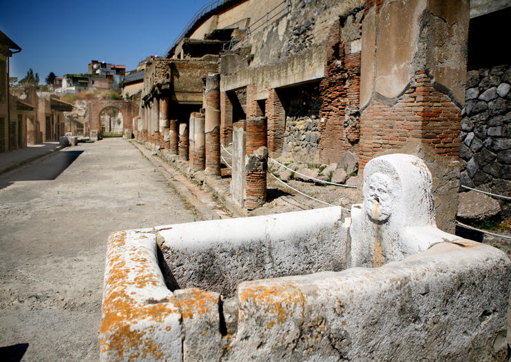 Herculaneum Archaeological Park (Parco Archeologico Di Ercolano) Rome ...