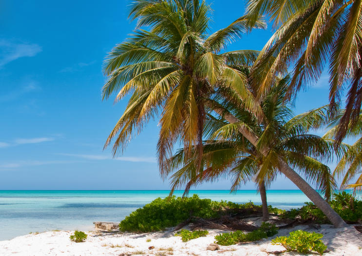 Rum Point