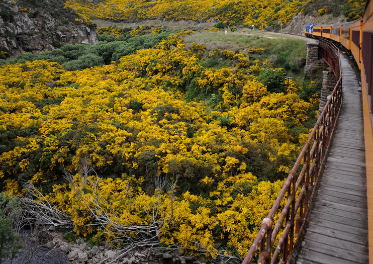 Taieri Gorge Railway