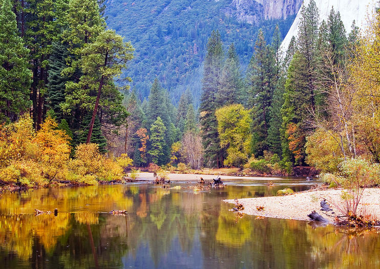 The Best Merced River Tours & Tickets 2019 - Yosemite National Park