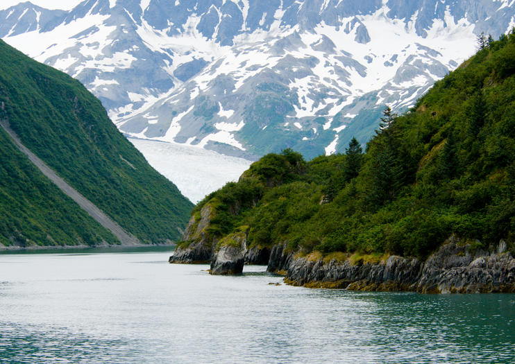 Les 10 Meilleures Parc National Des Fjords De Kenai Tours Et Excursions 21