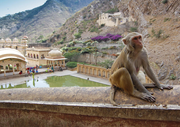 Sacred Sights in Jaipur