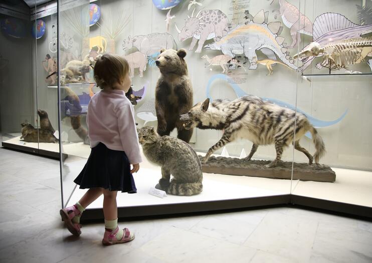 Western Australian Museum – Perth
