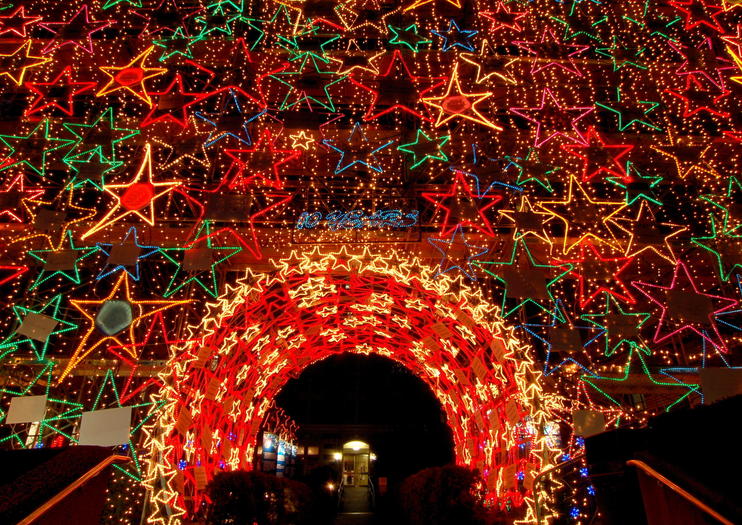 with lights trees and decorations canadas largest west coast city is a wonderful place to celebrate the holidays from sleigh rides and santa claus - How Does Canada Celebrate Christmas with lights trees and decorations canadas largest west coast city is a wonderful place to celebrate the holidays from sleigh rides and santa claus - How Does Canada Celebrate Christmas