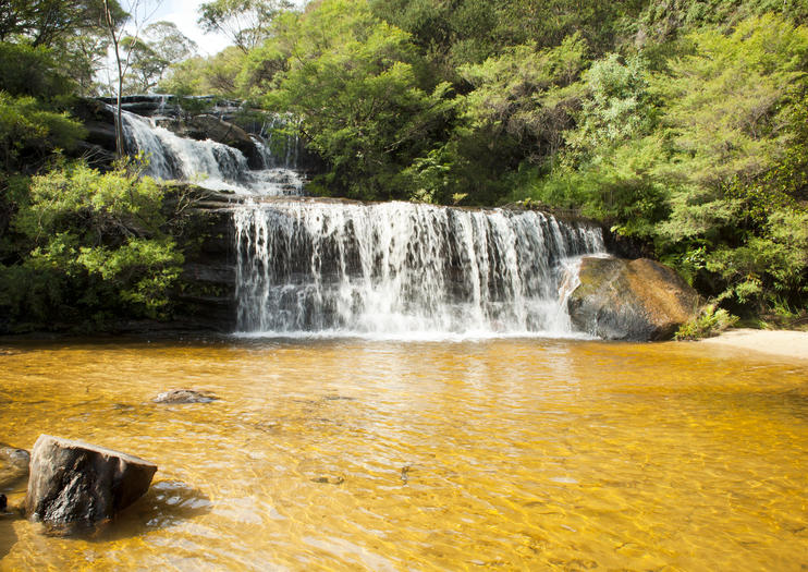 The Best Wentworth Falls Tours & Tickets 2020 - Blue Mountains | Viator