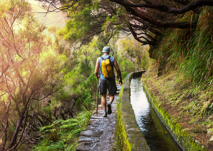 Levada Walks in Madeira - 2020 Travel Recommendations  Tours, Trips & Tickets  Viator