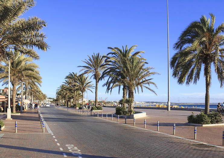 اجمل اماكن سياحية في كازابلانكا لعطلتك القادمة حصري 2020 148063_Casablanca_AinDiabCorniche_shutterstock_164252438