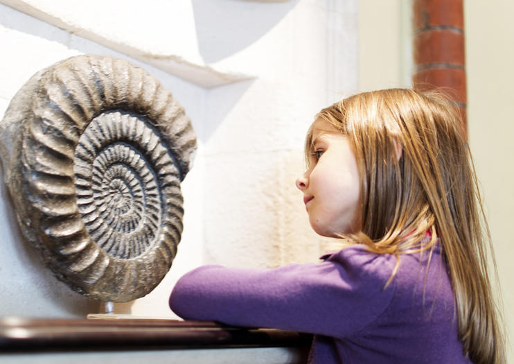 Museum of Nature and Archaeology (MUNA)