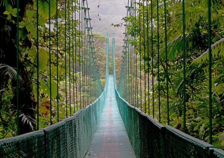 Mistico Arenal Hanging Bridges Park