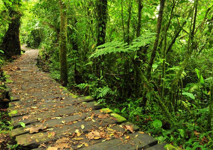 Braulio Carrillo National Park