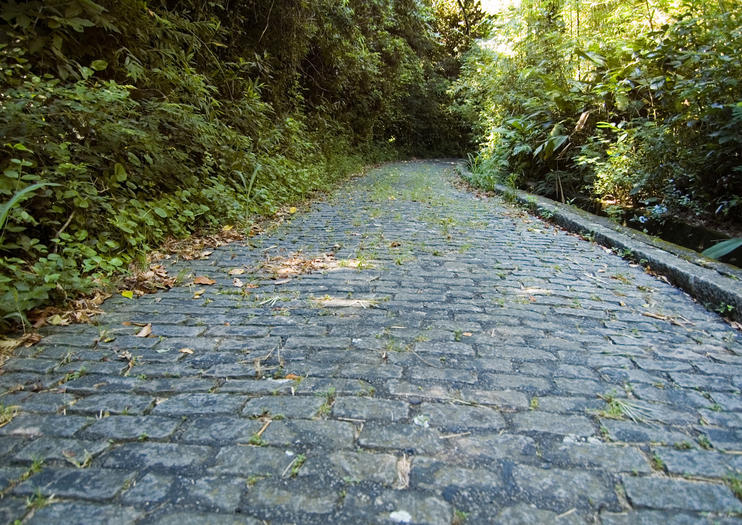 Gold Path (Caminho do Ouro)