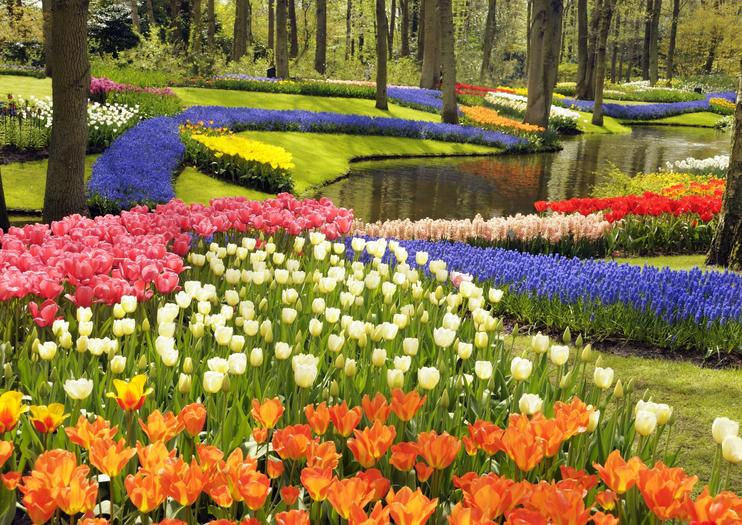 Jardins de Keukenhof