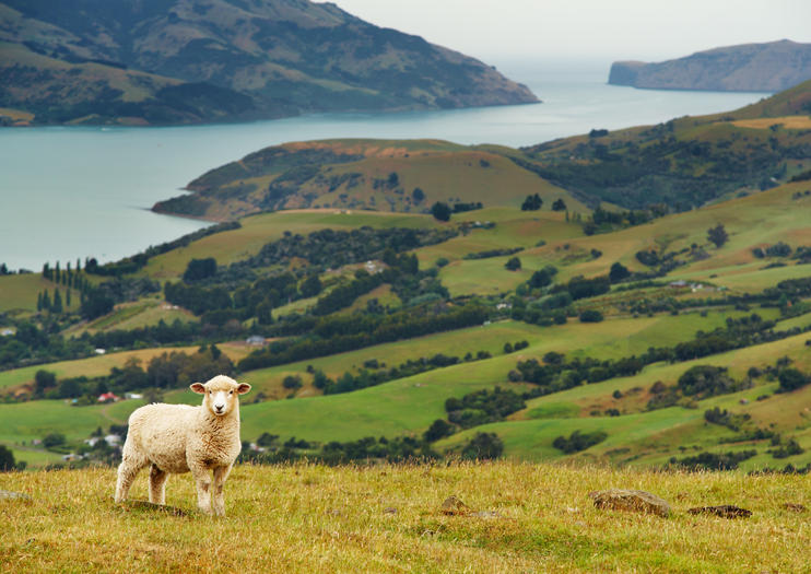 Banks Peninsula