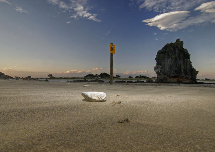 Sumner Beach