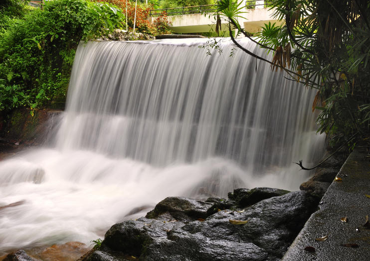 The 10 Best Penang Botanical Gardens (Taman Botani Penang ...