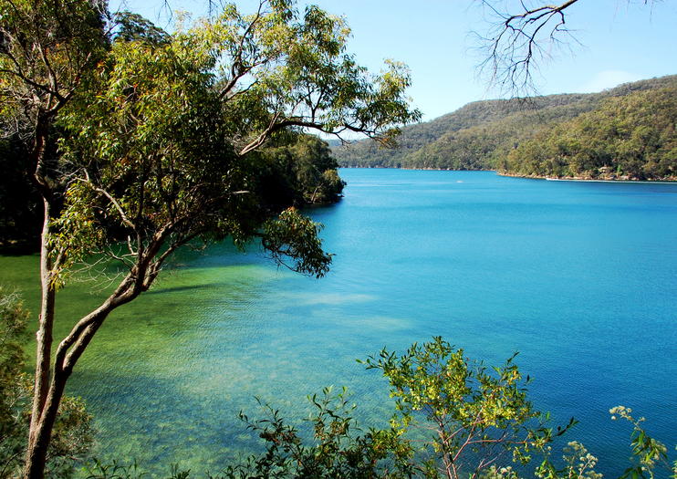 The 10 Best Kuringgai Chase National Park Tours & Tickets 2021