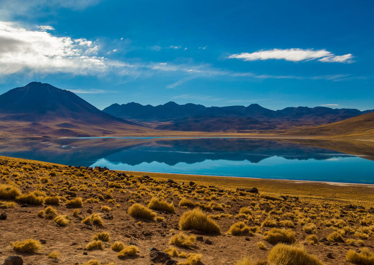 The Top 10 Things To Do in North Chile