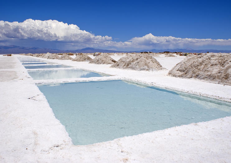 Great Salt Flats (Salinas Grandes)