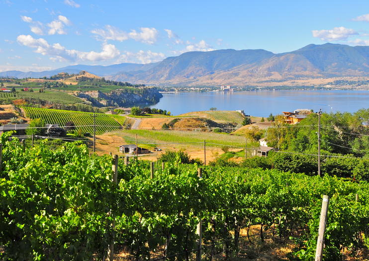 The 10 Best Okanagan Valley Tours & Tickets 2021 - British Columbia