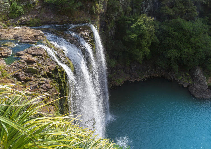 The Best Whangarei Falls Tours & Tickets 2020 - Bay of Islands | Viator