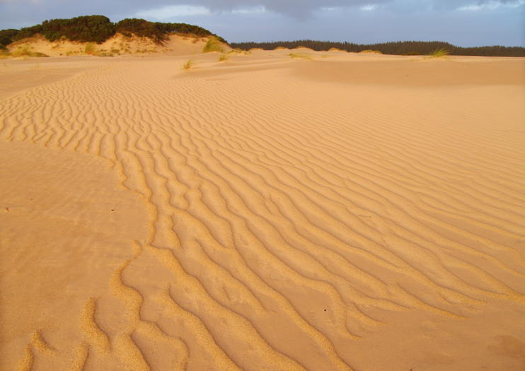Henty Dunes