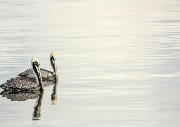 Cooper's Island Nature Reserve